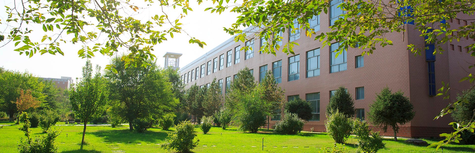昌吉学院2025年高等学历继续教育招生简章(图3)